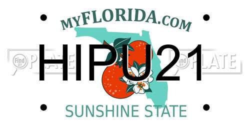 HIPU21 Florida License Plate