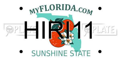 HIRI11 Florida License Plate