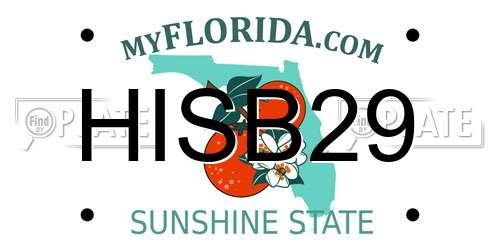 HISB29 Florida License Plate