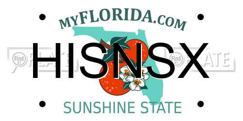 HISNSX Florida License Plate