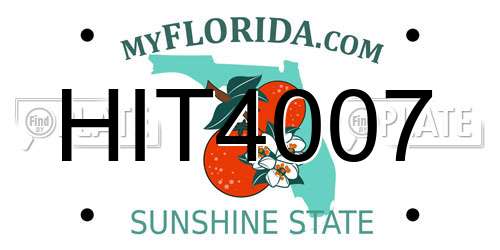 HIT4007 Florida License Plate