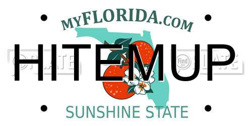 HITEMUP Florida License Plate