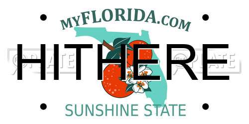 HITHERE Florida License Plate