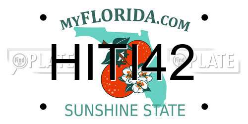 HITI42 Florida License Plate