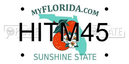 HITM45 Florida License Plate