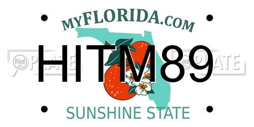 HITM89 Florida License Plate
