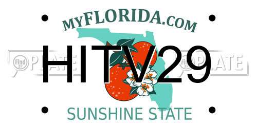 HITV29 Florida License Plate