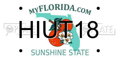 HIUT18 Florida License Plate