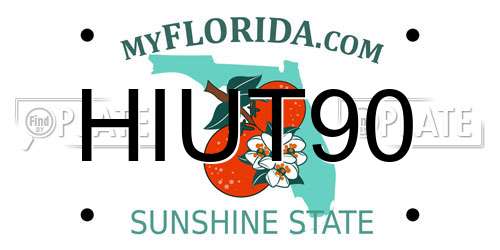 HIUT90 Florida License Plate