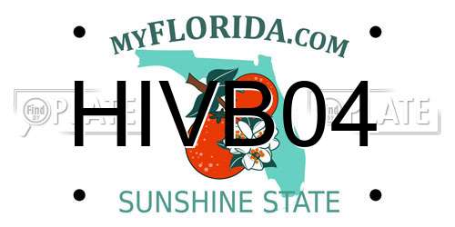 HIVB04 Florida License Plate