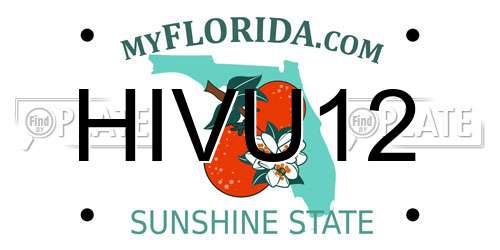 HIVU12 Florida License Plate