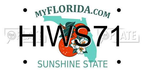 HIWS71 Florida License Plate