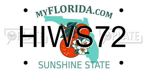 HIWS72 Florida License Plate