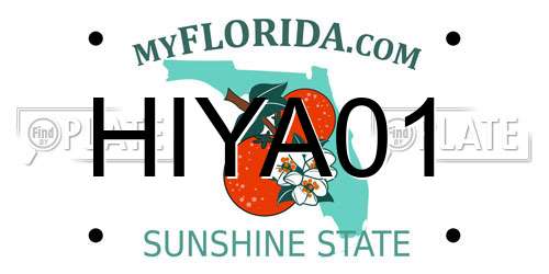HIYA01 Florida License Plate