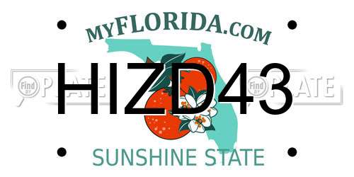 HIZD43 Florida License Plate