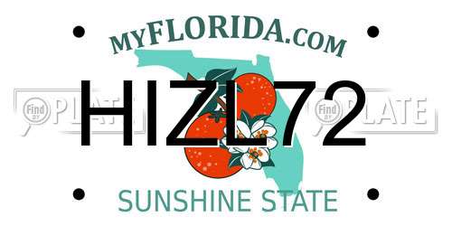 HIZL72 Florida License Plate