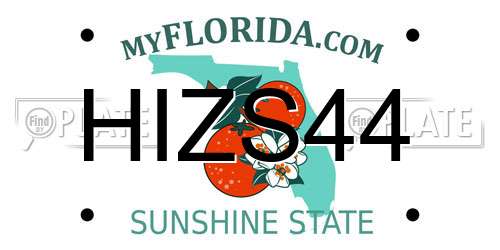 HIZS44 Florida License Plate