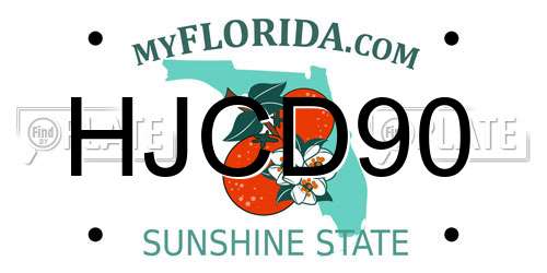 HJCD90 Florida License Plate