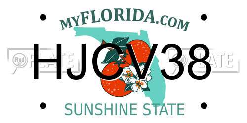 HJCV38 Florida License Plate