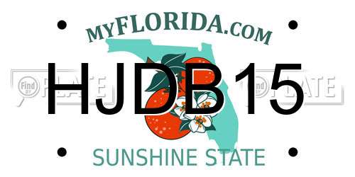 HJDB15 Florida License Plate