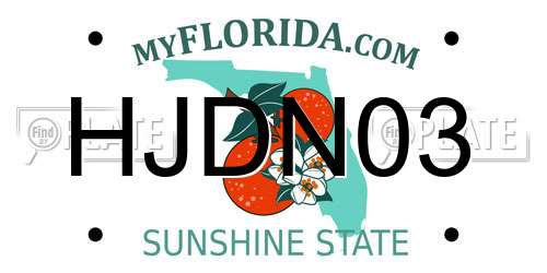 HJDN03 Florida License Plate