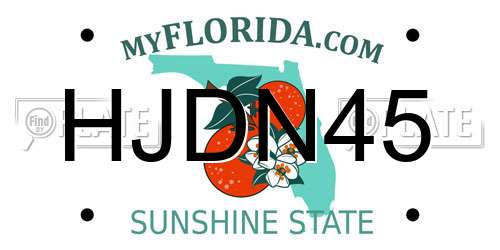 HJDN45 Florida License Plate