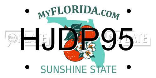 HJDP95 Florida License Plate