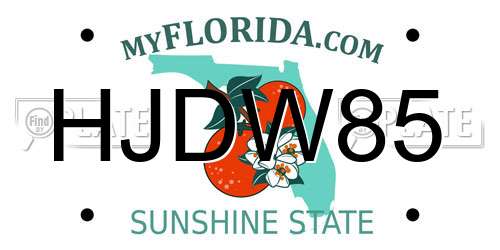 HJDW85 Florida License Plate
