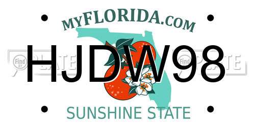 HJDW98 Florida License Plate