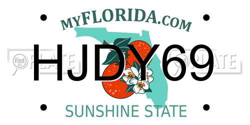 HJDY69 Florida License Plate