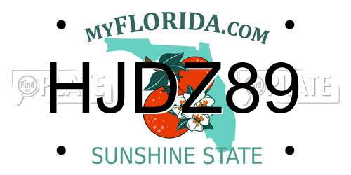 HJDZ89 Florida License Plate