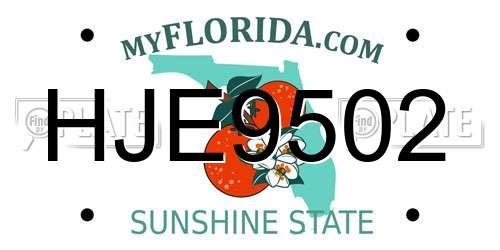 HJE9502 Florida License Plate