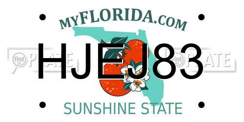 HJEJ83 Florida License Plate