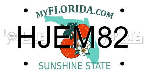 HJEM82 Florida License Plate
