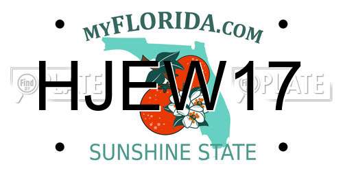 HJEW17 Florida License Plate