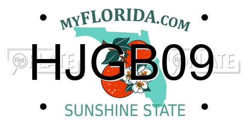 HJGB09 Florida License Plate