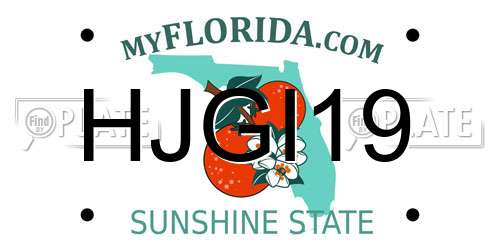 HJGI19 Florida License Plate