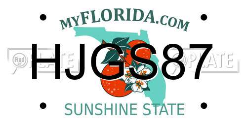 HJGS87 Florida License Plate