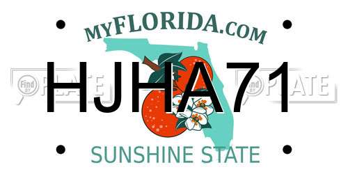 HJHA71 Florida License Plate