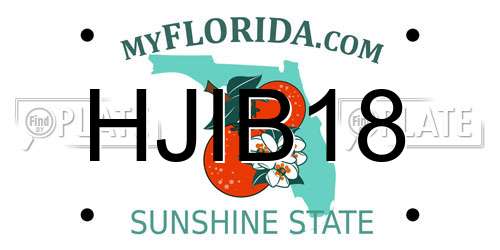 HJIB18 Florida License Plate