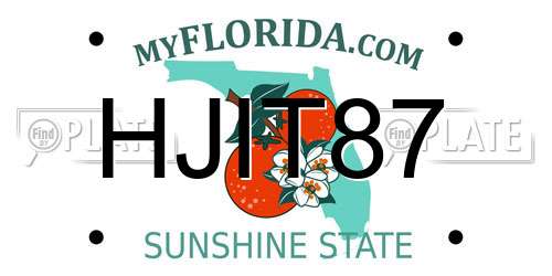 HJIT87 Florida License Plate