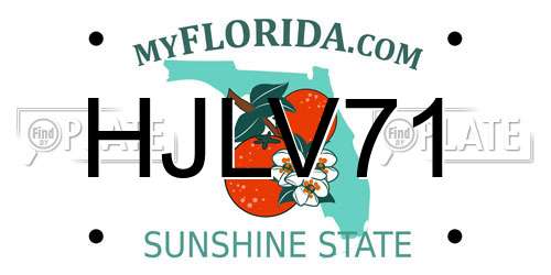 HJLV71 Florida License Plate