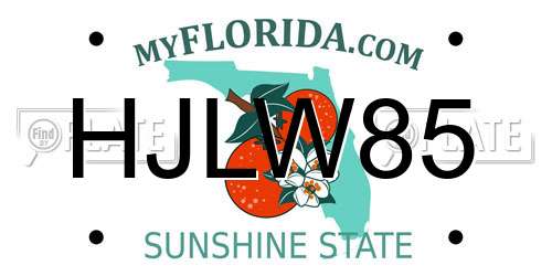 HJLW85 Florida License Plate