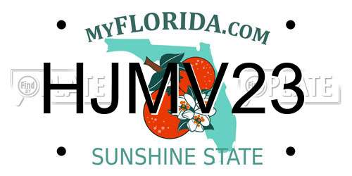 HJMV23 Florida License Plate