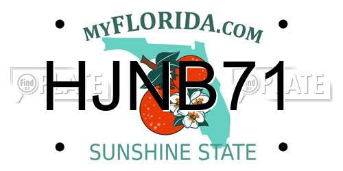 HJNB71 Florida License Plate