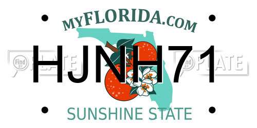 HJNH71 Florida License Plate