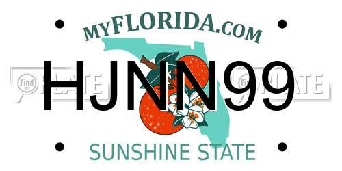 HJNN99 Florida License Plate