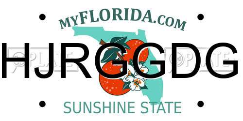 HJRGGDG Florida License Plate
