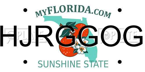 HJRGGOG Florida License Plate