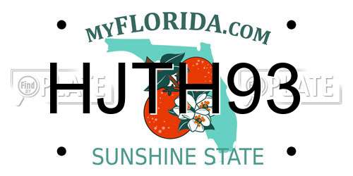 HJTH93 Florida License Plate